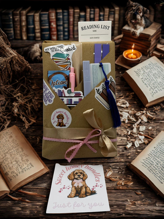 Mini Blind Date with a Book Hamper