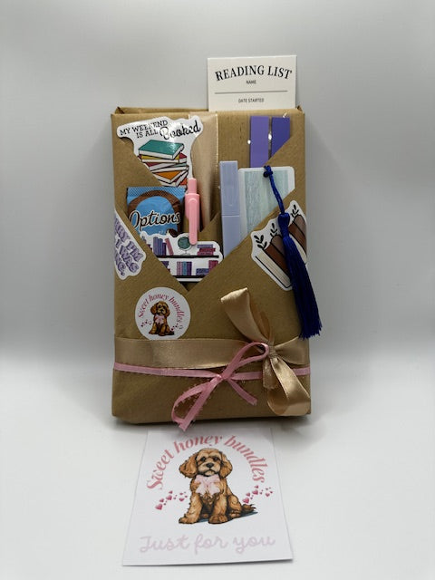 Mini Blind Date with a Book Hamper